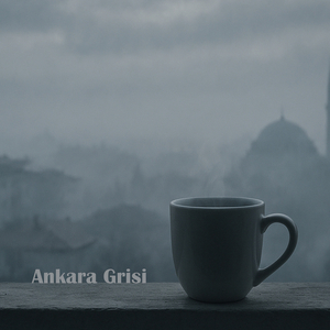 Ankara Grisi