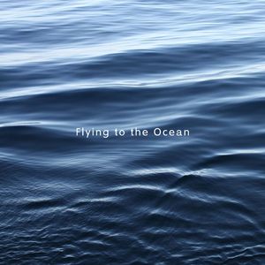 Flying to the Ocean