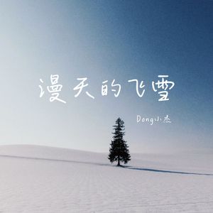 漫天的飞雪