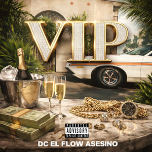 Vip