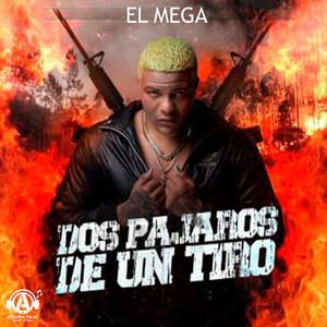 Dos Pajaros De Un Tiro