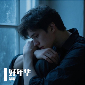 好年华