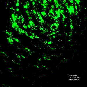 Disculpas