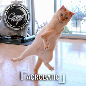 Acrobatic