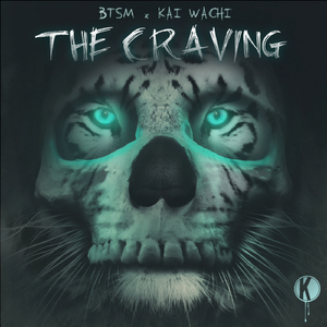 The Craving (Original Mix)