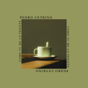 Como tú me lo Pediste