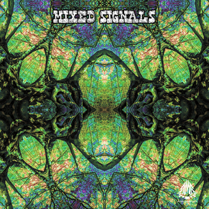 Ayahuasca Ceremony (Original Mix)