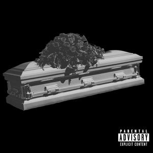 Reborn (intro) (feat. Youngler)
