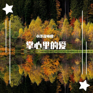 掌心里的爱