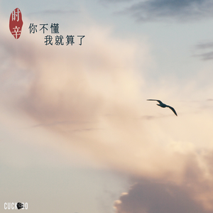 你不懂我就算了