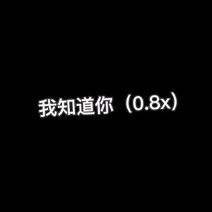 我知道你0.8x