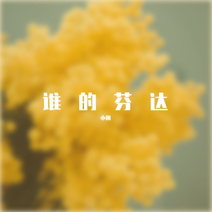 谁的芬达