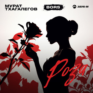 Роза