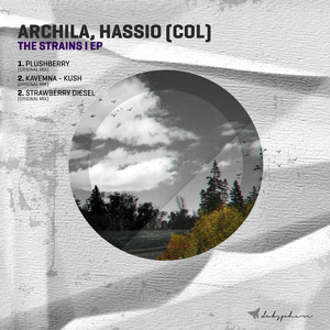 Plushberry (Original Mix)