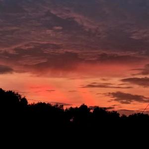 我走后-弹唱版（Minton remix）