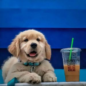 你的珍贵 我的相随