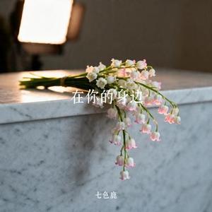 不同 (七色鹿 Remix)