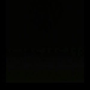 芳华慢与霜雪千年串烧