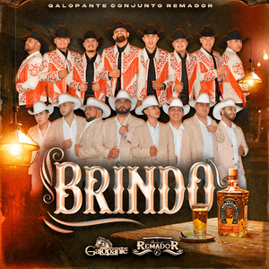 Brindo