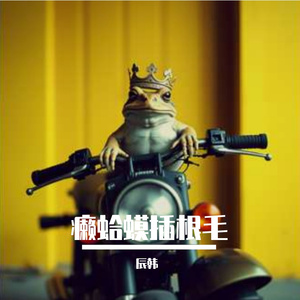 癞蛤蟆插毛