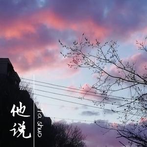 他说
