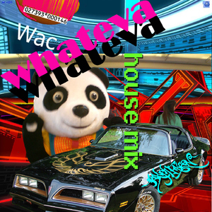 Whateva (House Mixx)