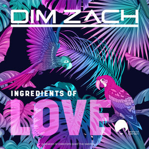 Endelige (Dim Zach Mix)