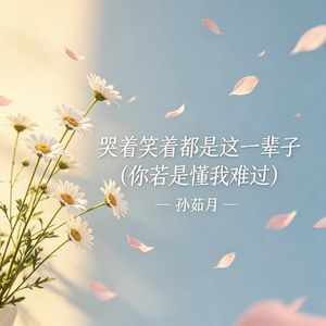 哭着笑着都是这一辈子（你若是懂我难过）