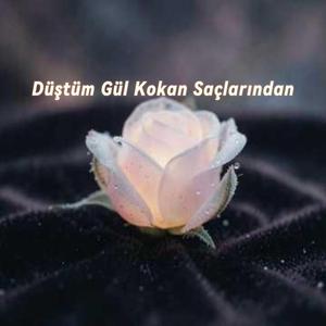 Düştüm Gül Kokan Saçlarından.