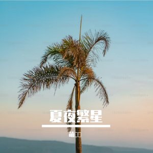 夏夜繁星 伴奏