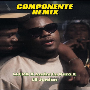 Componente (Remix)