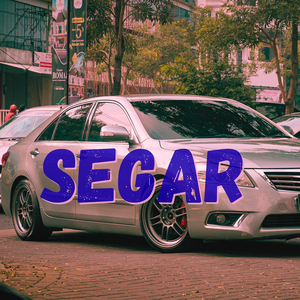 Segar