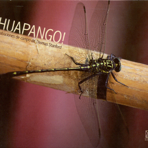 El Caiman in G Major