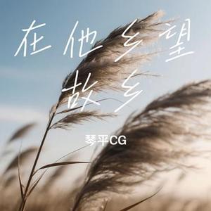 在他乡望故乡 (Cover 陈默默)