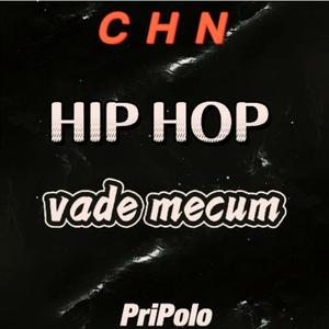 中文嘻哈入门指南（Prod by 9Zi）