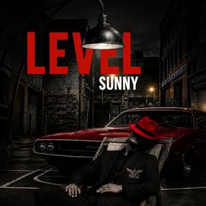 LEVEL