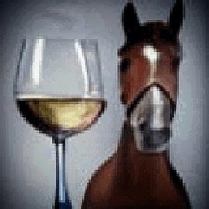 I Took My Bitch To The Party And We Both Got Roofied (feat. Acid Souljah)