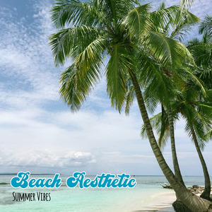 Beach Aesthetic Summer Vibes