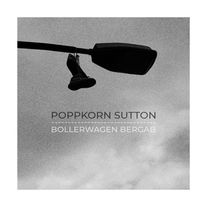 Bollerwagen Bergab
