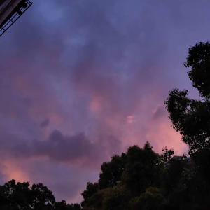 欲望随笔prod by vain