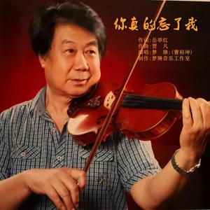 你真的忘了我 伴奏