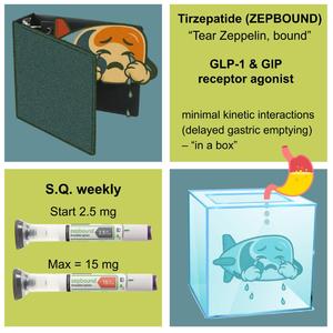 Zepbound Down Pounds (Shoe Gazey Indie Rockish Version)