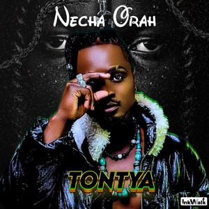 Tontya (Instrumental)