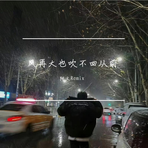 风再大也吹不回从前