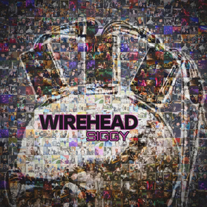Wirehead
