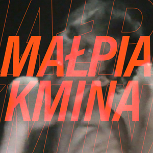 Małpia Kmina