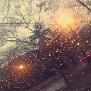 Please Never Fall in Love Again (feat. Vict Molina & Ollie MN)