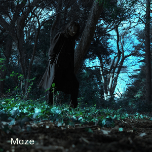 Maze