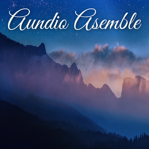 Aundio Asemble