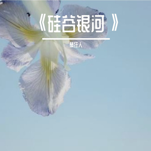 《硅谷银河》